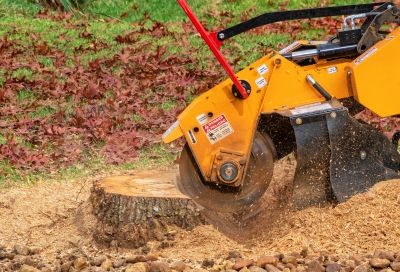 Stump Removal Equipment