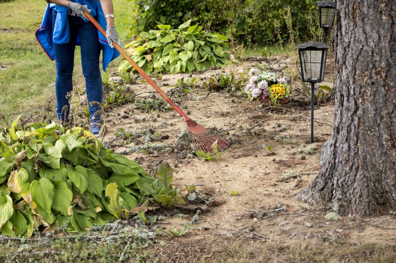 Off-Season Advantages